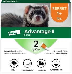 Advantage II Ferret Vet-Recommended Flea Treatment & Prevention | Ferret 1  lbs. | 2-Month Supply
