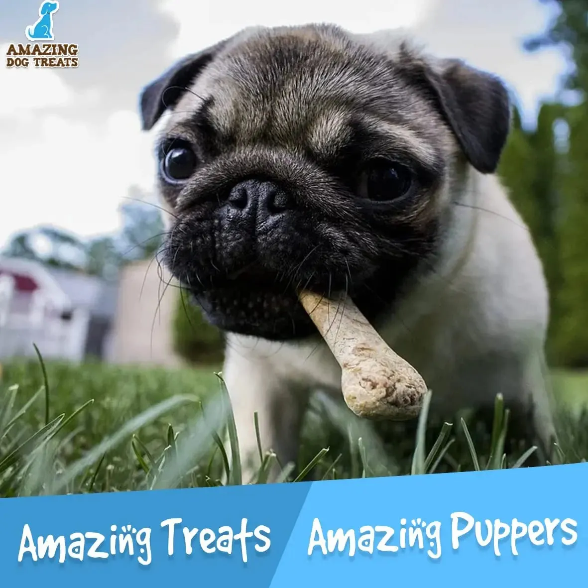 Amazing Dog Treats - 3-4" Beef Trachea Chews