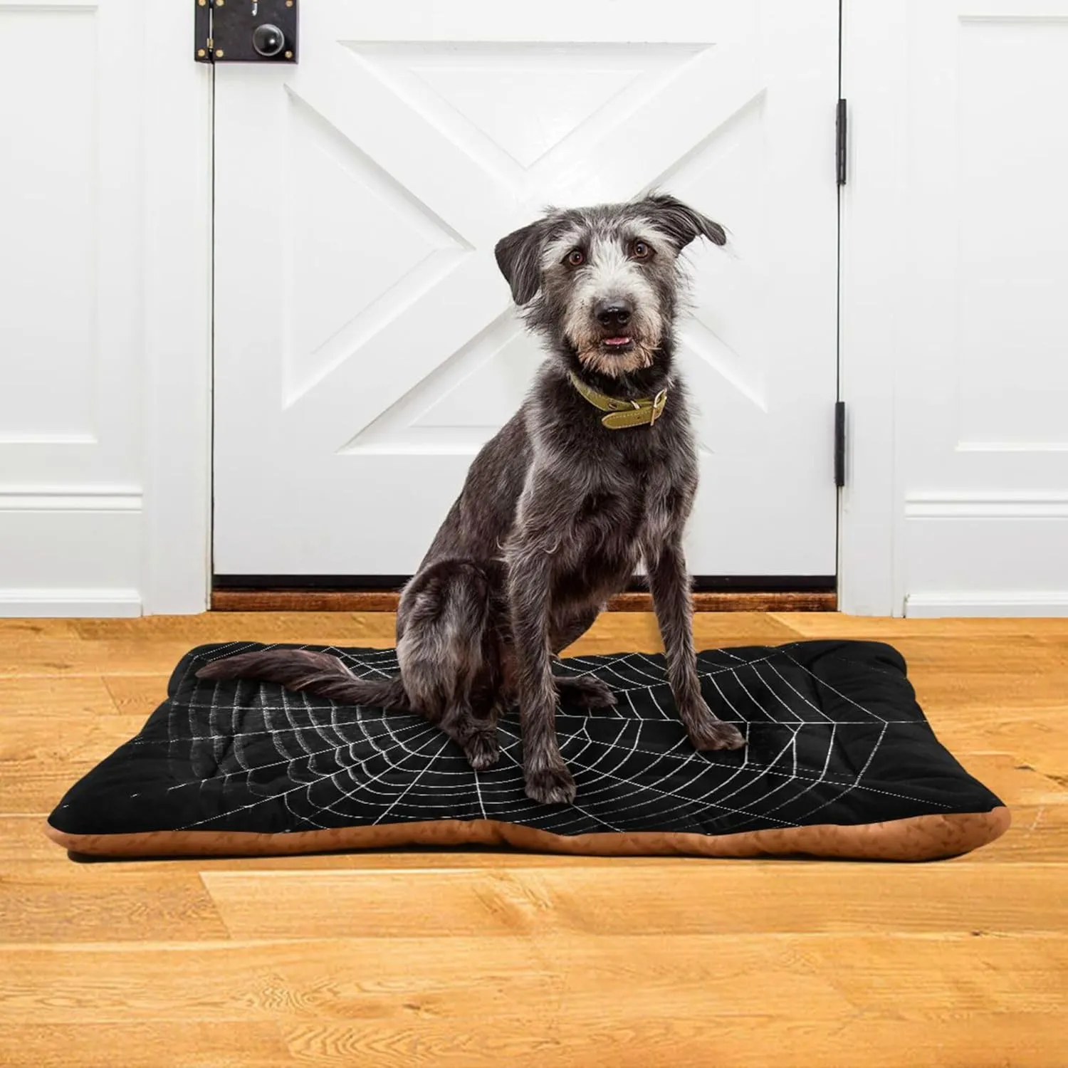 Dog Bed Mat Large Pet Bed Spider Web Washable Anti Slip Bottom Dog Fulffy Comfy Kennel Pad Cat Crate Mat Dog Pet Pad, 18 x 24 Inches