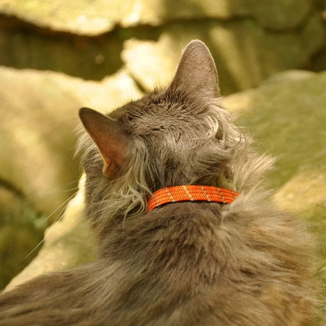 Elasta Cat Reflective Safety Stretch Collar