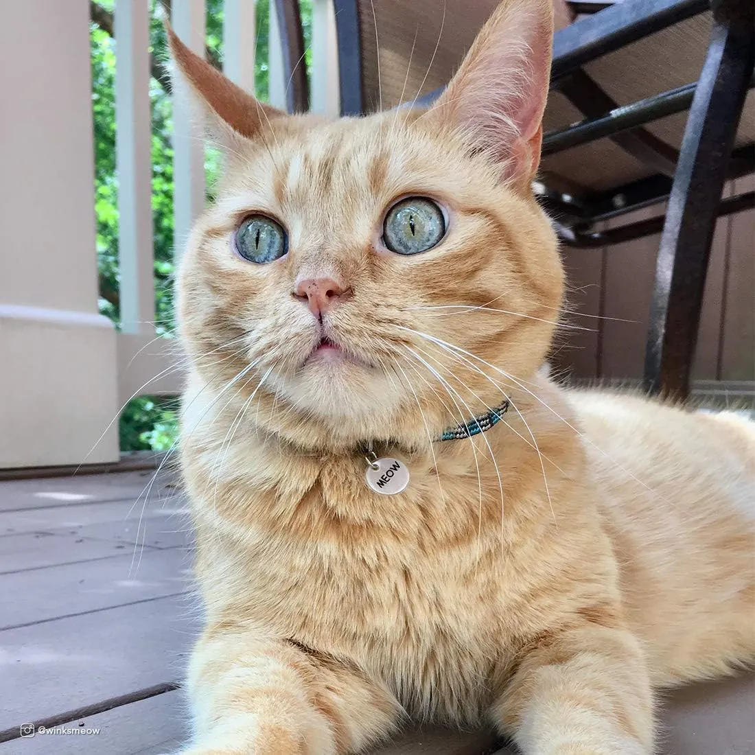 Elasta Cat Reflective Safety Stretch Collar