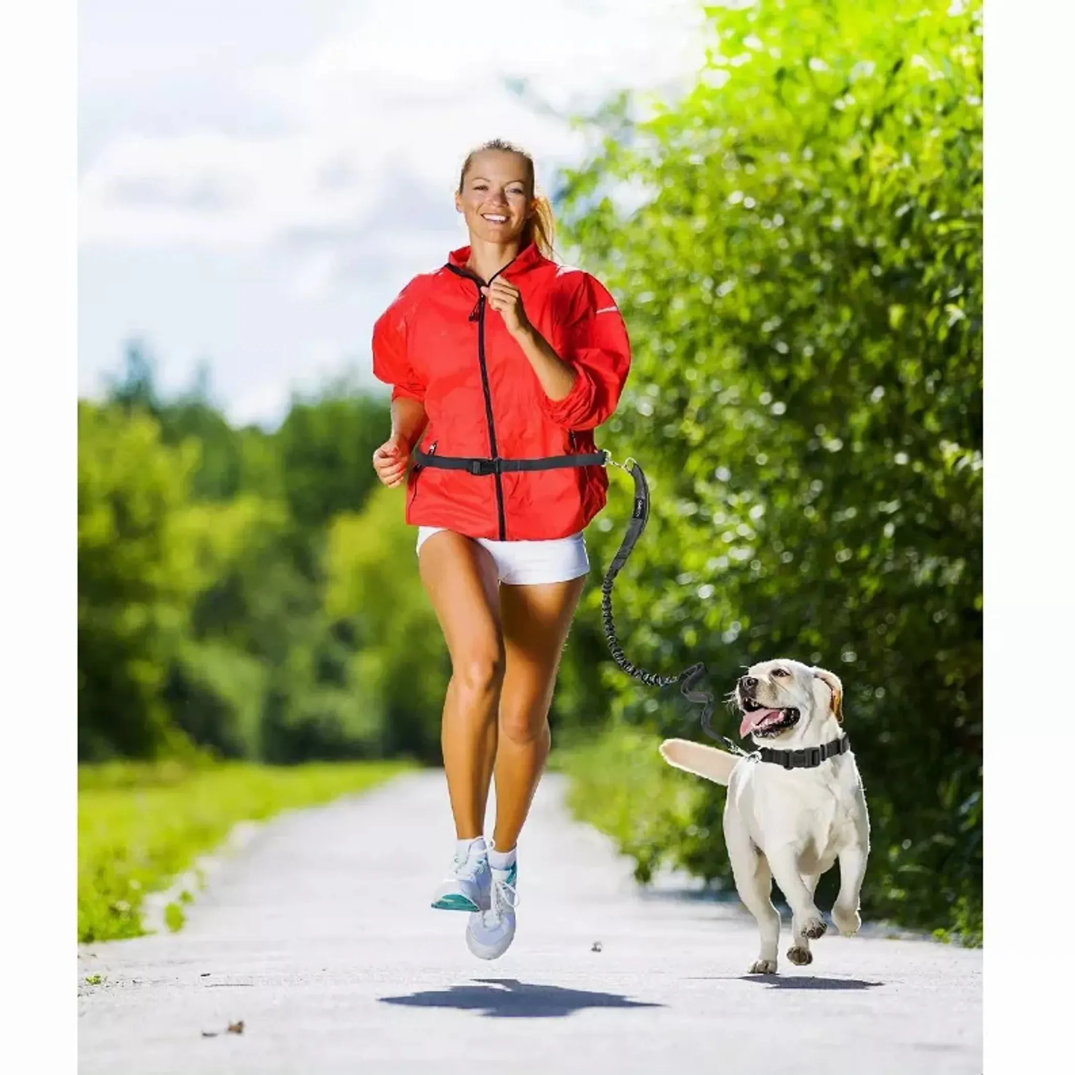 JESPET Hands Free Dog Leash for Running, Walking or Hiking