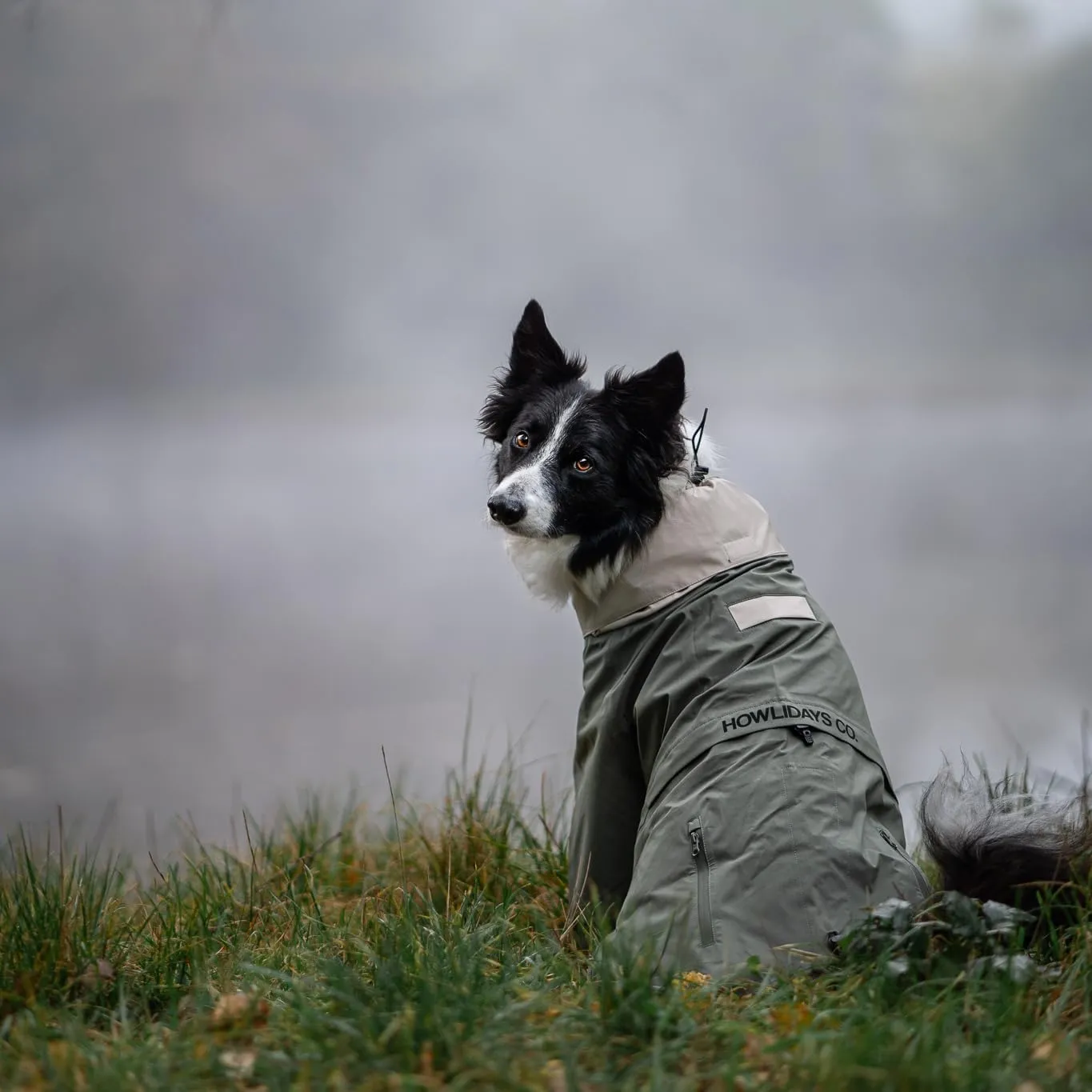 Midnight Forest Dog Jacket - Water-Resistant & Adjustable | Large Dog Raincoat with Packable Hood