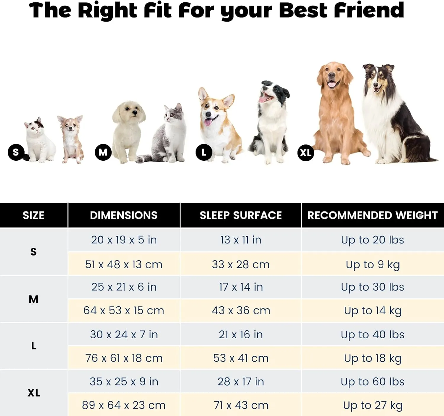 Miguel Dog Bed with Removable Cushion/Pillow for Medium Small Dogs, Washable Pet Bed with Side Easy to Wash Puppy Bed, Large Rectangle Cat Bed for Indoor Cat with Anti-Slip Bottom, Dark Gray 25 Inch