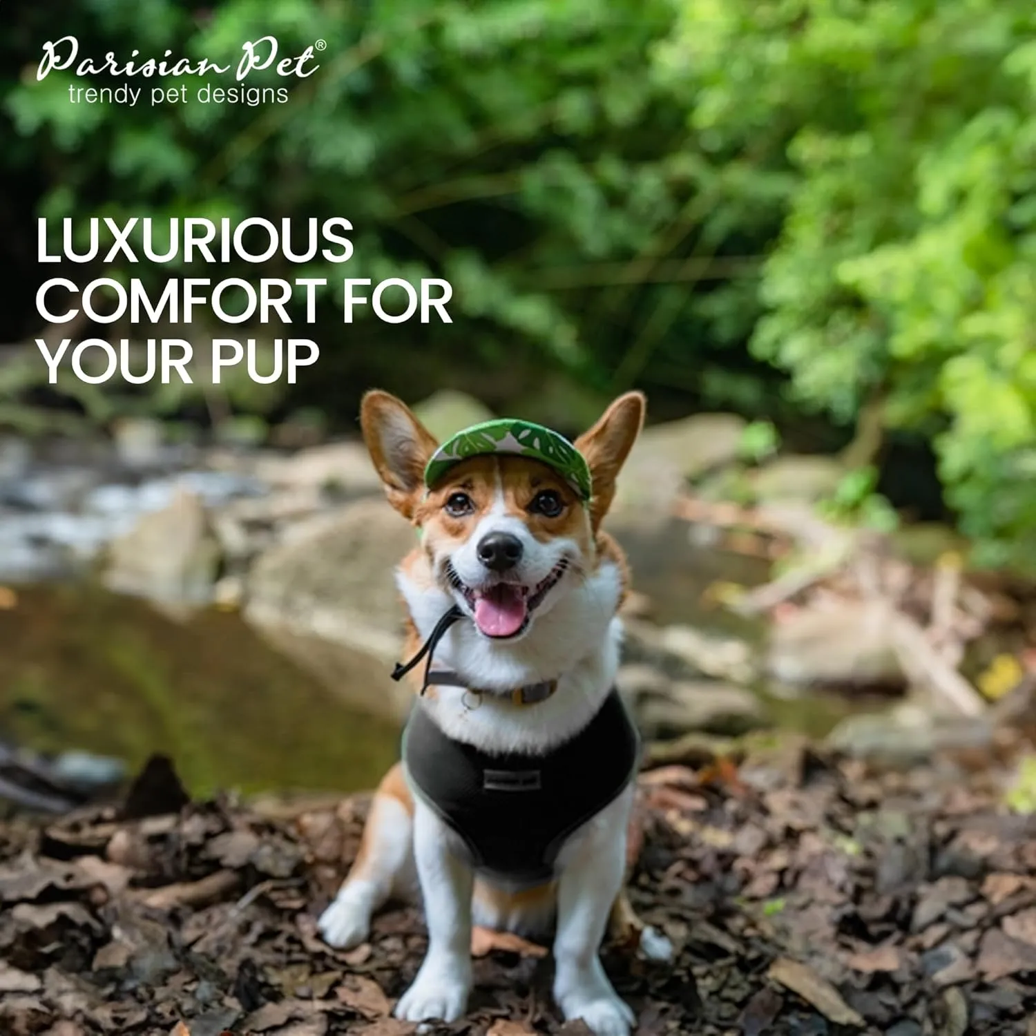 Parisian Pet Dog Harness - Adjustable, No Pull, Soft Padded Mesh Pet Harness for Cats and Dogs - Black, Size S
