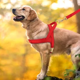 Personalized Engraved No Pull Adjustable Dog Harness