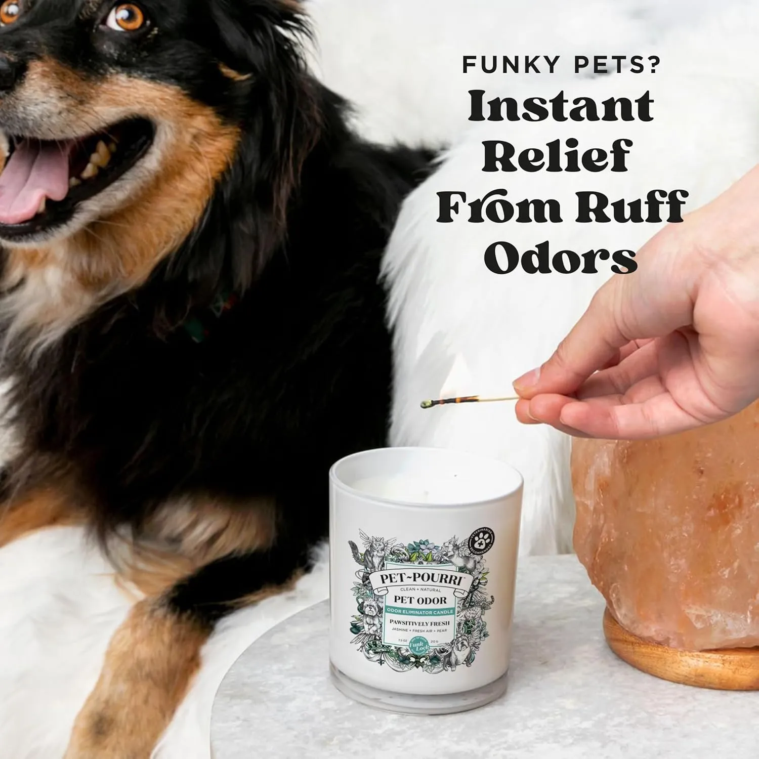 Pet-Pourri Pawsitively Fresh Pet Deodorizer Candle  Pet Safe Plant Based Ingredients & Wax  Vet Approved  Aromatherapy & Air Freshener for Pet Odor  Scented with Pineapple, Jasmine, & Pear