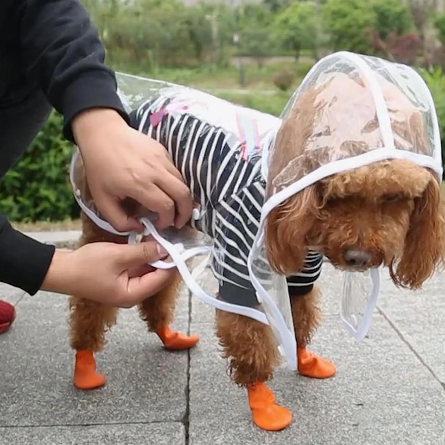 Pet Raincoat, Transparent Dog Cat Raincoat with Hood, Minimalistic Dog Rainwear Pet Rain Gear for Small Dogs A M