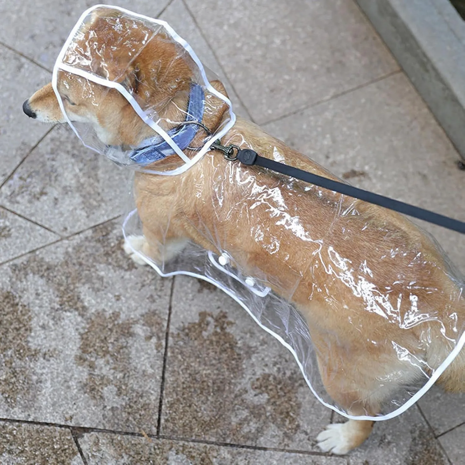Pet Raincoat, Transparent Dog Cat Raincoat with Hood, Minimalistic Dog Rainwear Pet Rain Gear for Small Dogs A M