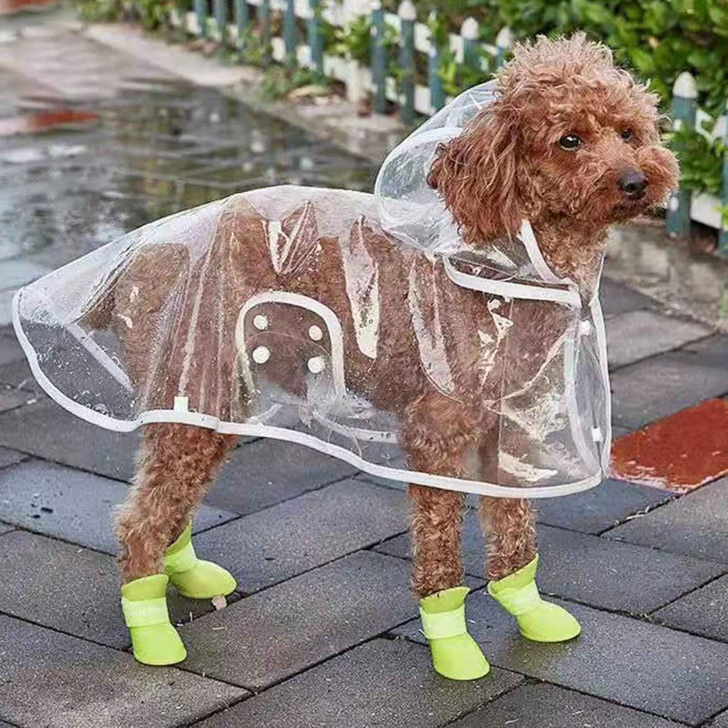 Pet Raincoat, Transparent Dog Cat Raincoat with Hood, Minimalistic Dog Rainwear Pet Rain Gear for Small Dogs A M