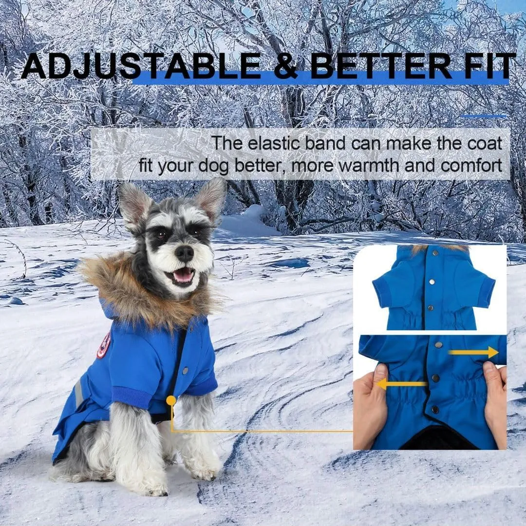 PINA Small Dog Coats - Waterproof Winter Jacket with Flannel Lining, Faux Fur Hood & Pocket