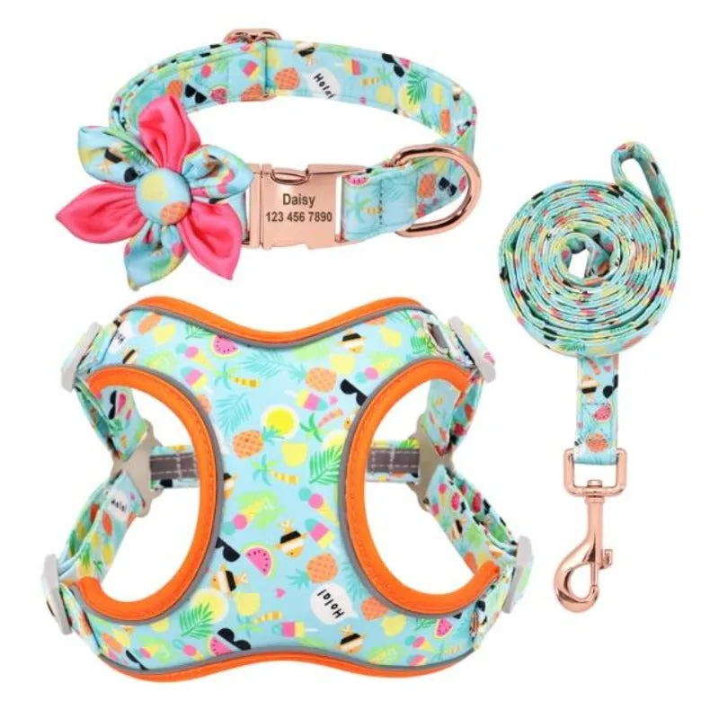 Summer Vacation Dog Harness, Collar & Leash Set  | Personalized Free
