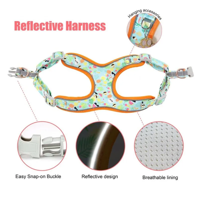 Summer Vacation Dog Harness, Collar & Leash Set  | Personalized Free