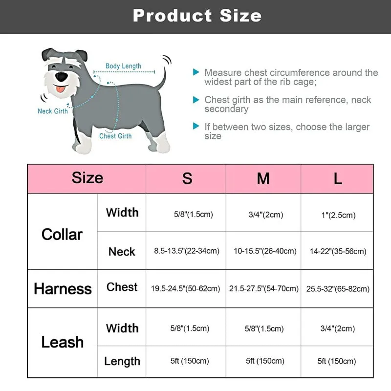 Summer Vacation Dog Harness, Collar & Leash Set  | Personalized Free