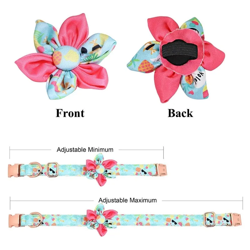 Summer Vacation Dog Harness, Collar & Leash Set  | Personalized Free