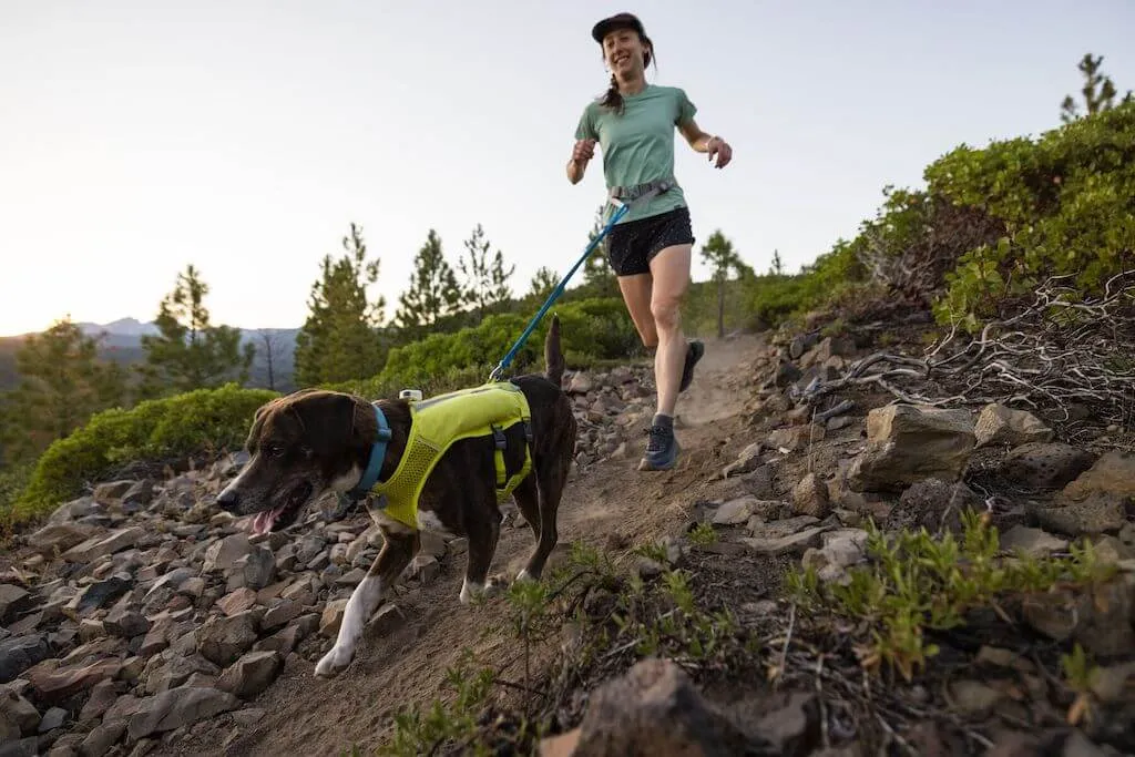 Trail Runner Dog Running Vest - With Hydration Bladders