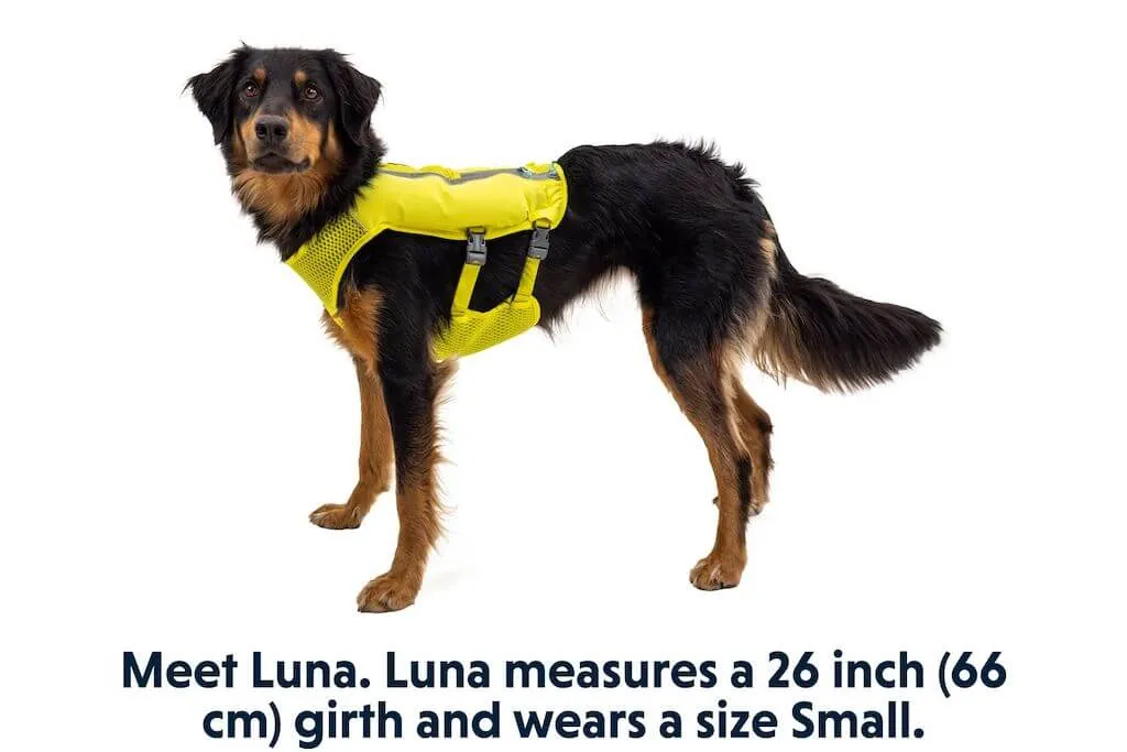 Trail Runner Dog Running Vest - With Hydration Bladders