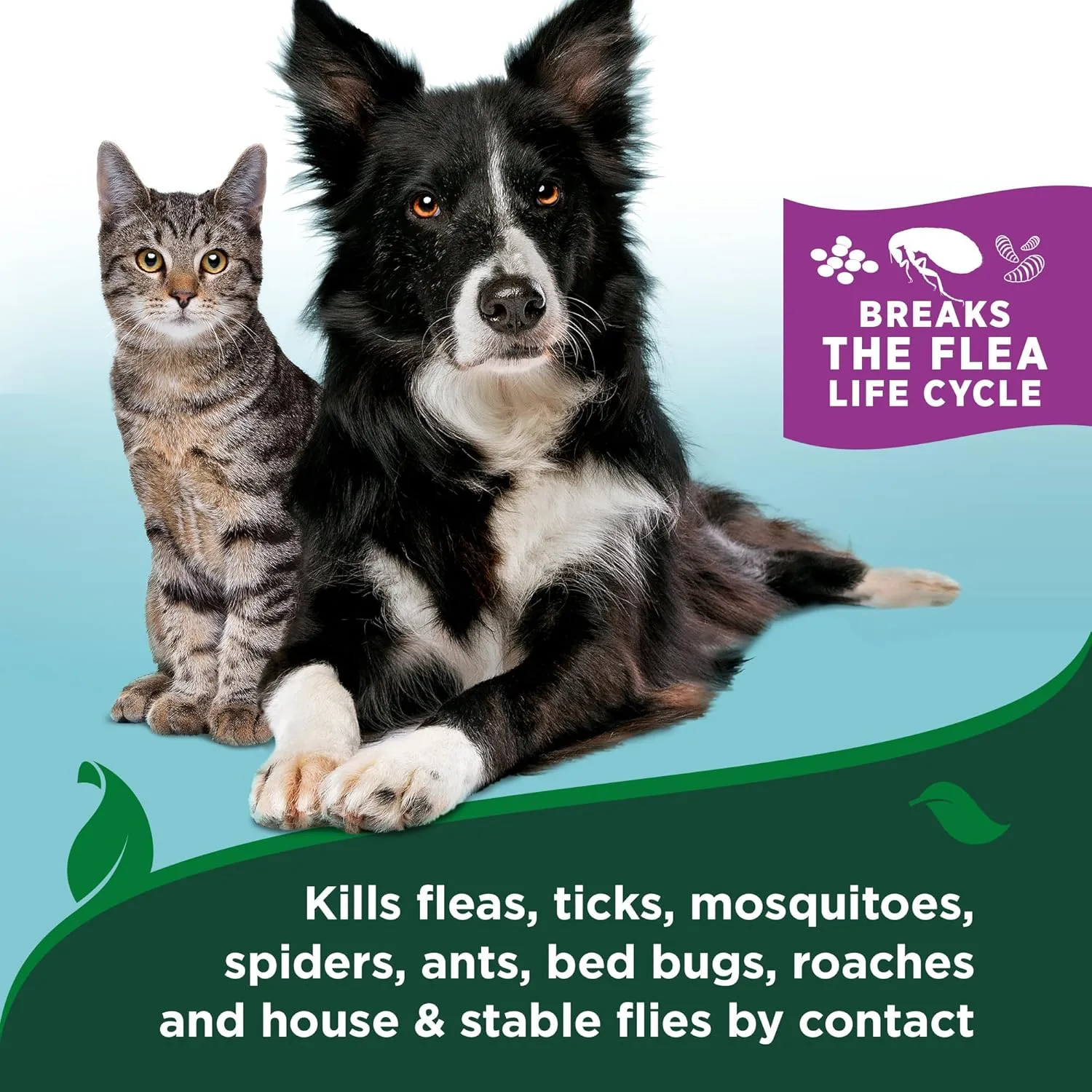 Vets Best Flea & Tick Home Spray for Cats  Plant-Based Flea and Tick Treatment with Cotton Spice Scent  Gentle Mist for Indoor Use  Made in USA Natural Cat Pest Control  32 oz